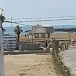 La Veille 2 *